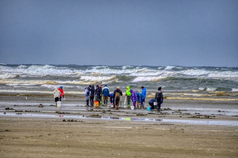 9 Washington Coastal Towns Locals Say Are Packed With Tourists - Decor Hint Grayland