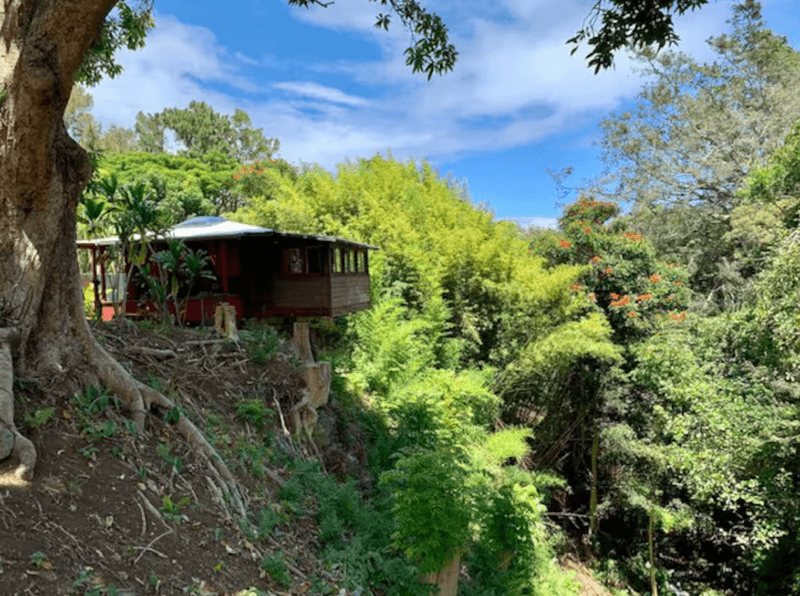 Secluded Rainforest Hideaway With Waterfall Views