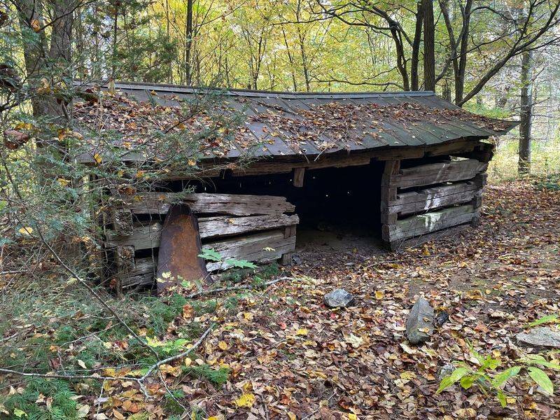 This Forgotten North Carolina Ghost Town Was Once A Bustling Logging Village Lost To Time - Decor Hint Logging Boom Brought Prosperity And Connection
