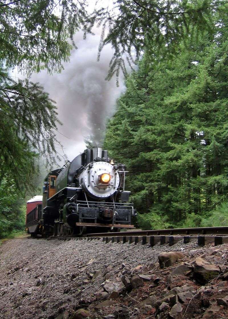 Chelatchie Prairie Railroad