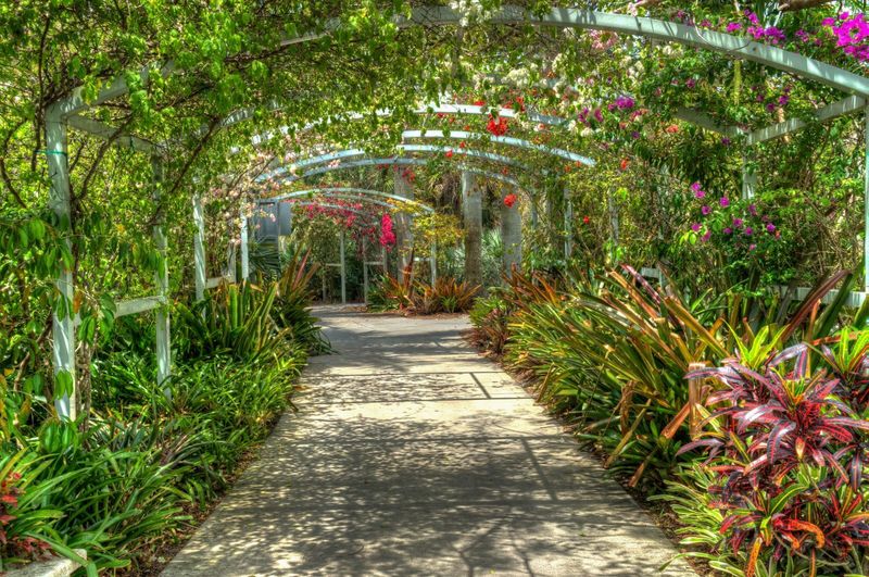 Naples Experiences That Prove It's One Of Florida's Finest Cities - Decor Hint Explore the Naples Botanical Garden