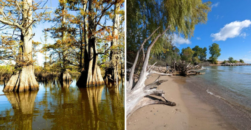 National Parks In Illinois That Locals Prefer To Keep Quiet