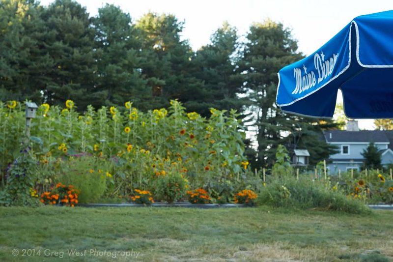 Locals Say This Cozy Maine Café Makes The Best Omelets In The State - Decor Hint Fresh Produce From The Backyard Garden
