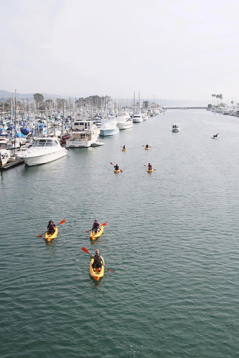 Dana Point Activities Only A California Native Would Recommend - Decor Hint Harbor Water Sports Fun