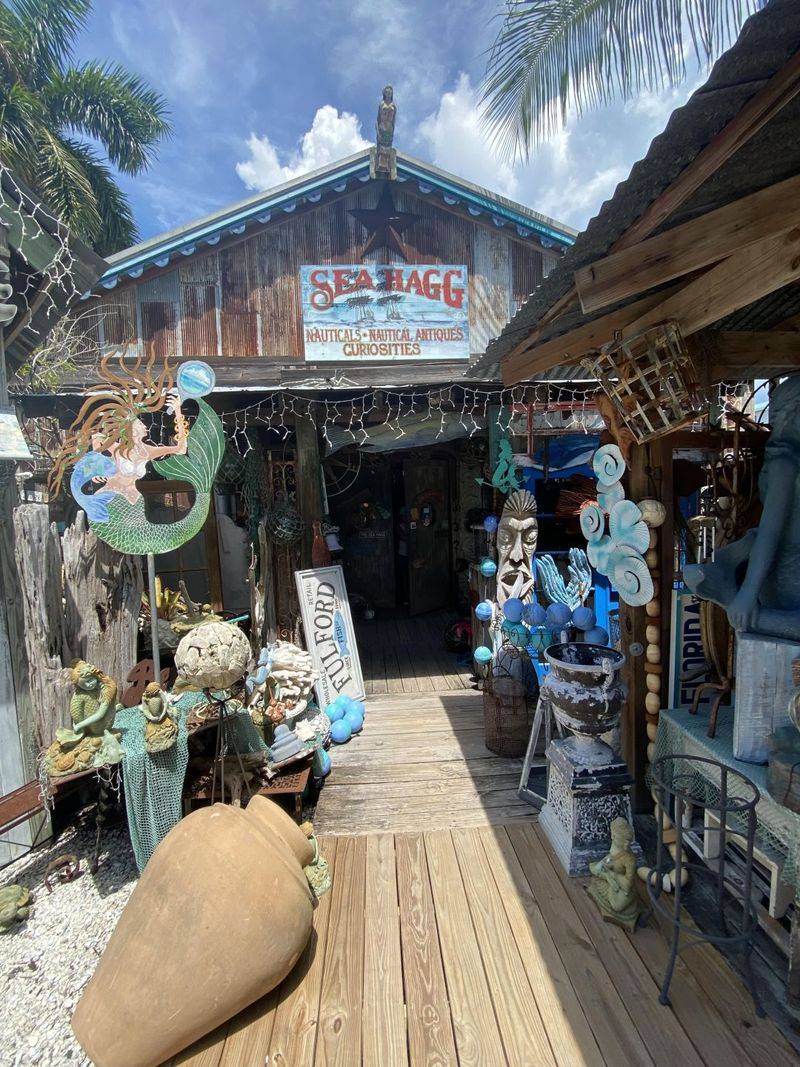 Florida Coastal Décor Shops Locals Love - Decor Hint Sea Hagg – Cortez