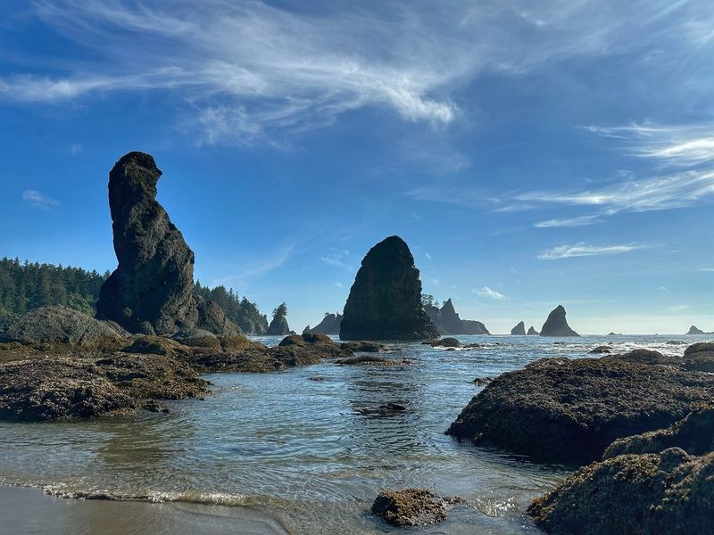Olympic Coast