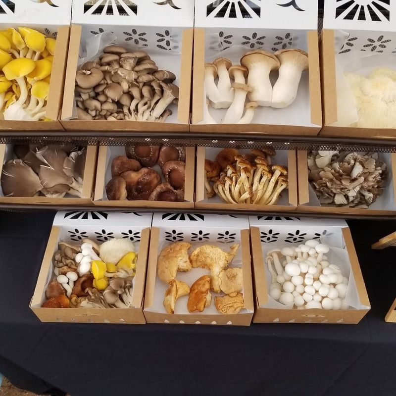 Marietta River City Farmer Market