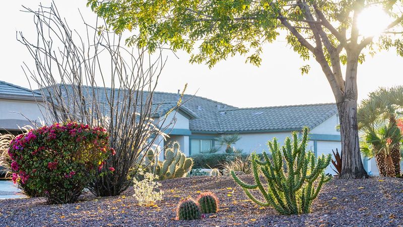 Homes With Xeriscaping Only