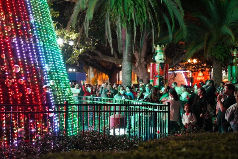 Orlando's 50 Festive Holiday Events You Can Attend For Free - Decor Hint Tree Lighting Celebration At Lake Eola Park