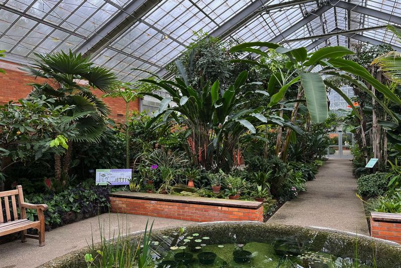 12 Secret And Famous Gardens To Discover In Michigan - Decor Hint Matthaei Botanical Gardens