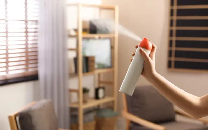 22 Bedroom Traits That Could Make Buyers Hesitant - Decor Hint Unpleasant Odors