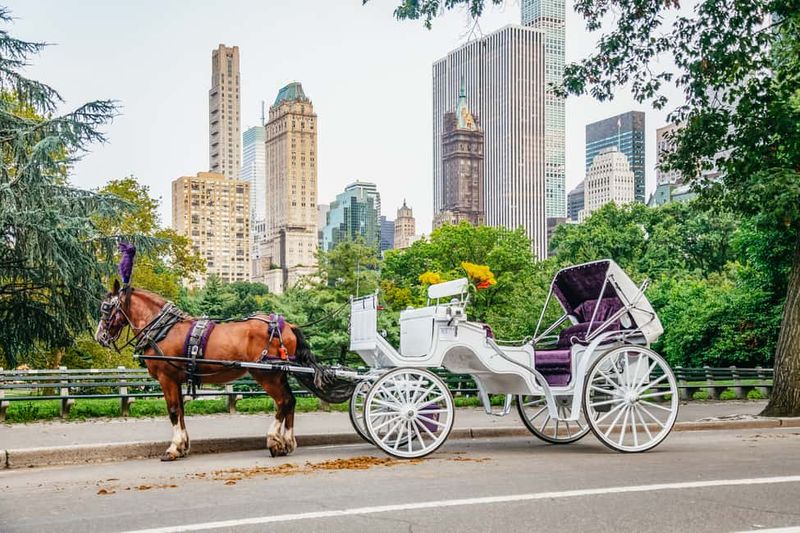 22 New York Tourist Traps Every Local Knows To Avoid (Here's What To Do Instead) - Decor Hint Central Park Horse-Drawn Carriages