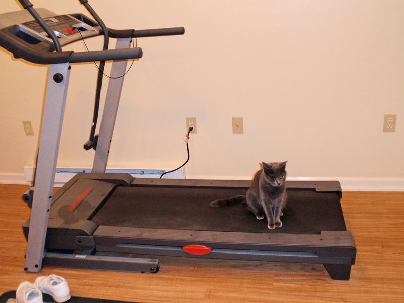 Unused Exercise Equipment