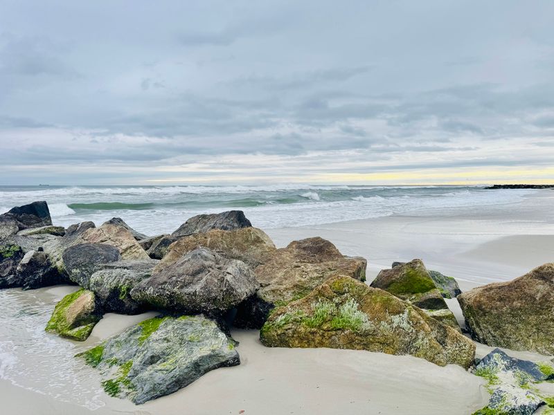 9 Washington Coastal Towns Locals Say Are Packed With Tourists - Decor Hint Ocean Park & Surfside