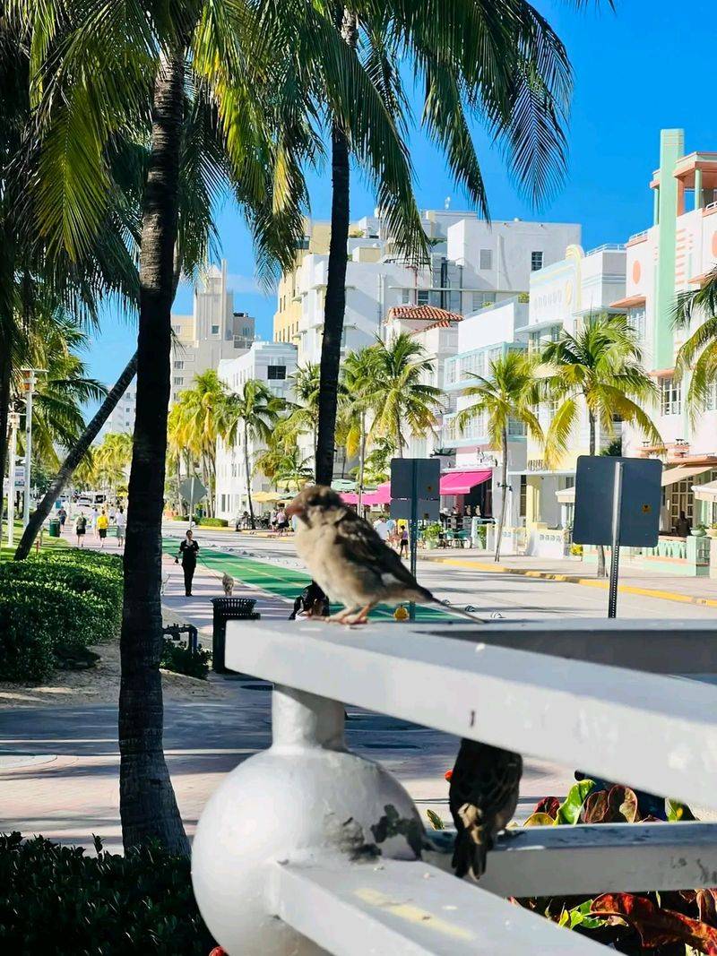 12 Florida Towns First-Time Buyers Should Think Twice About - Decor Hint Florida City