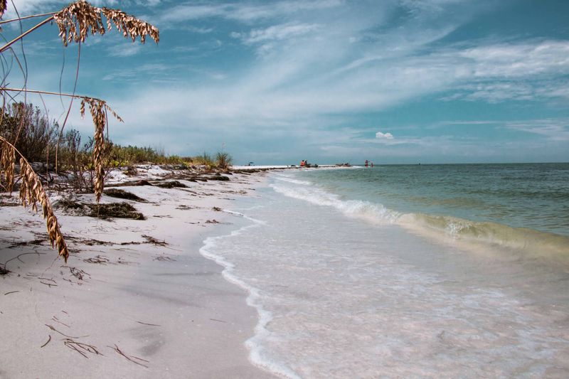 Honeymoon Island
