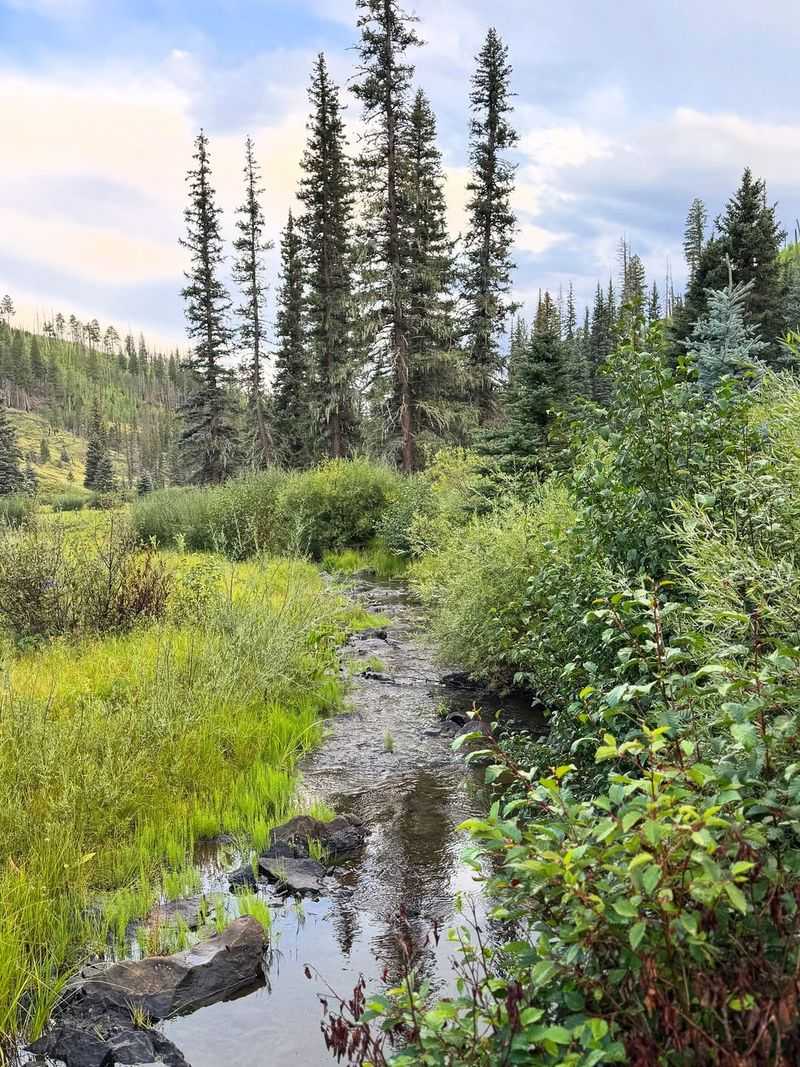 Greer's Alpine Retreat