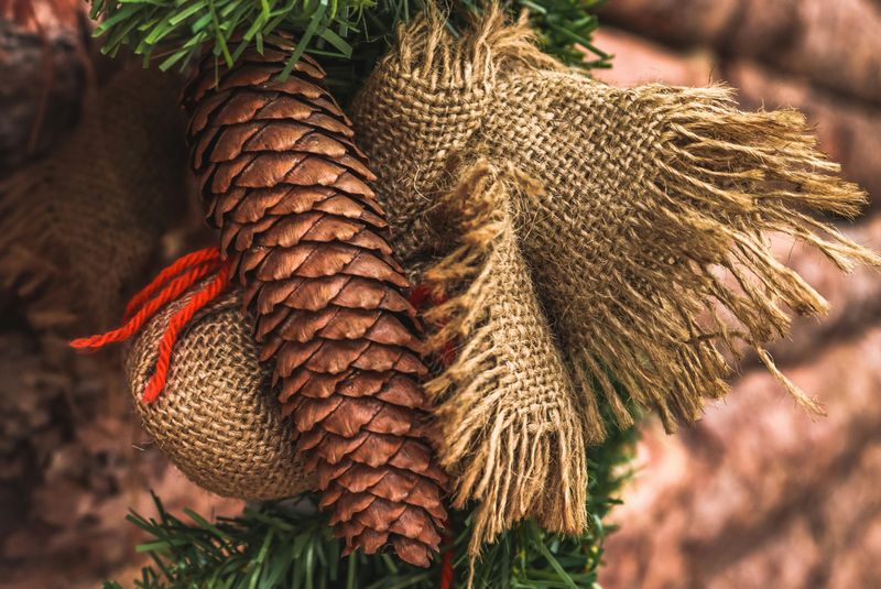 Festive Texas Inspired Décor Ideas And The Secret To A Perfect Christmas Cactus - Decor Hint Western-Themed Wreaths Welcome Guests Naturally