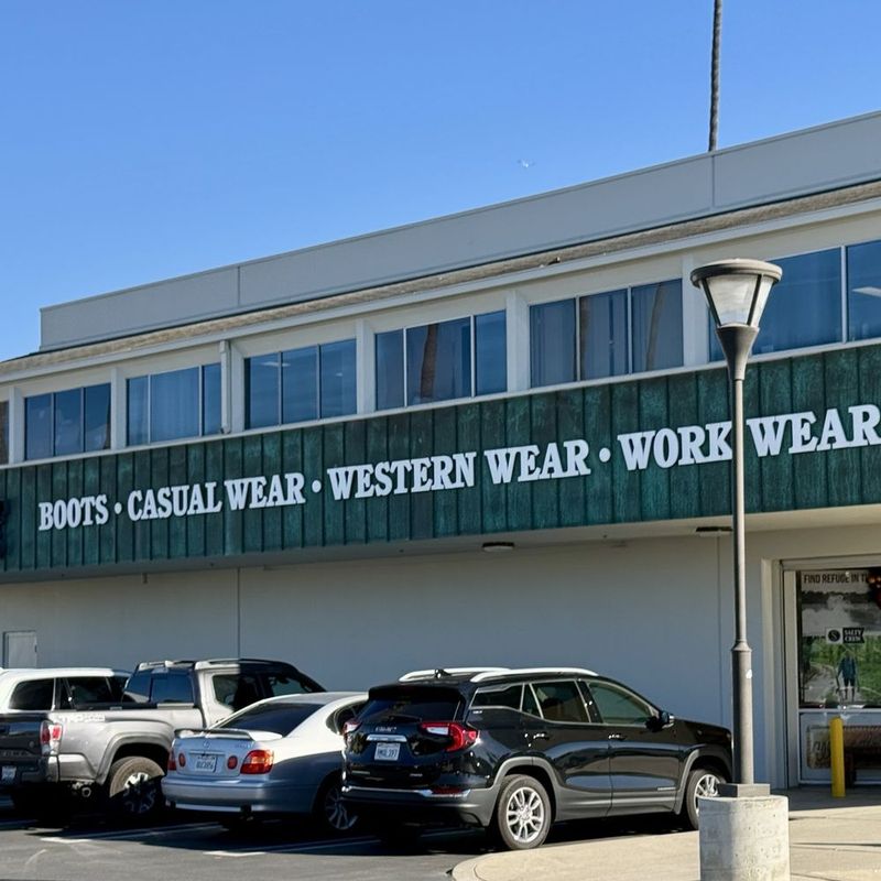 Under-The-Radar California Seafood Shacks With Pacific Flavor - Decor Hint The Wharf Shack In Ventura