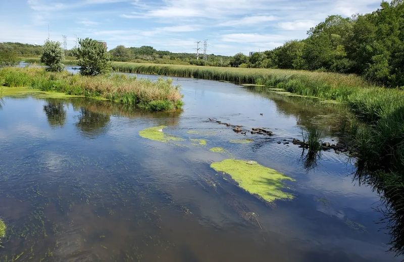 Wildlife Watching For Nature Lovers