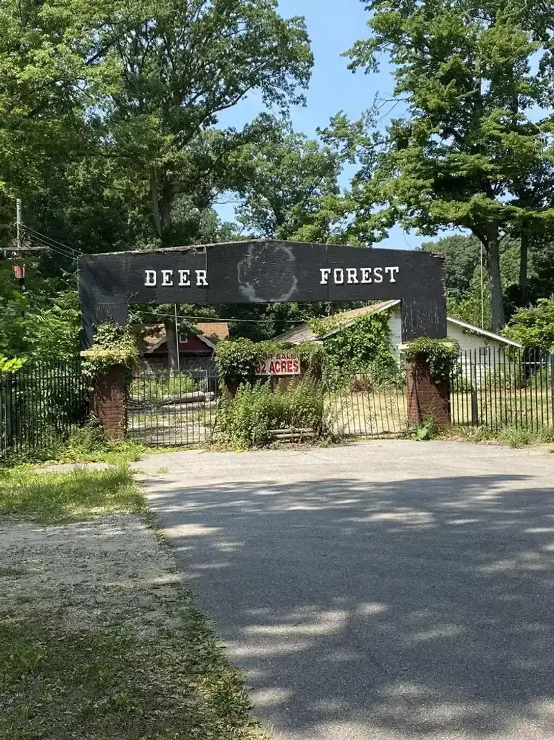 Exploring Michigan's Most Eerie Abandoned Parks - Decor Hint Deer Forest Fun Park, Coloma