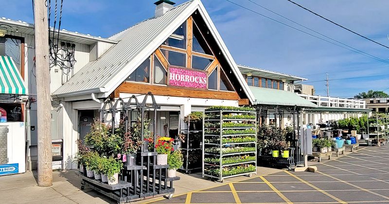 Where Michigan Locals Go For The Best Meat & Seafood Finds - Decor Hint Horrocks Farm Market