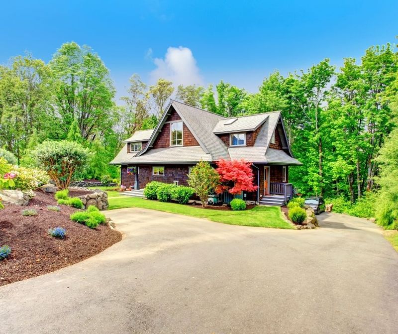 Overgrown Landscaping