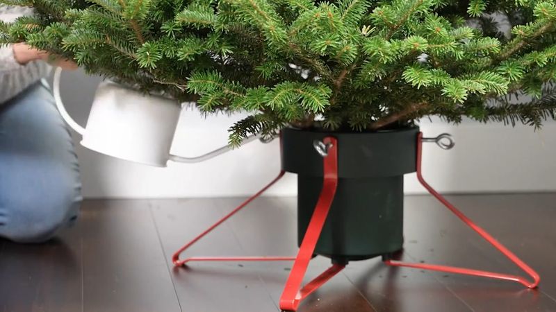 Keep Your Christmas Tree Hydrated