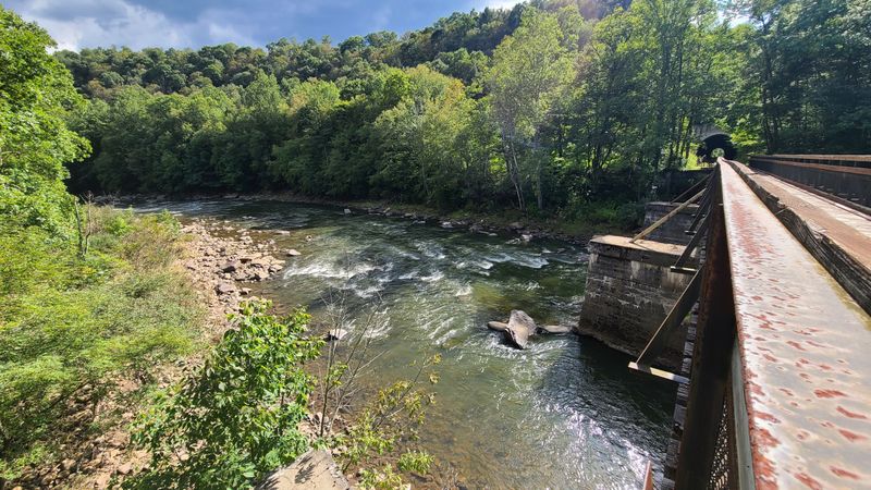 Serene Streams and Creek Crossings