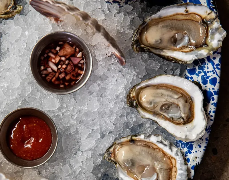 Charleston Dining Spots Serving Seafood Locals Call The Best Around - Decor Hint Nico Oysters + Seafood