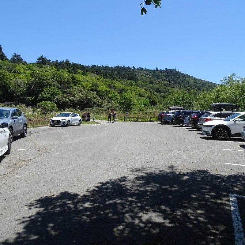 Parking Nightmares Have Taken Over