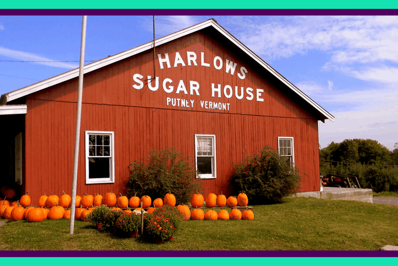 The Best Apple Pie Spots To Try In Vermont - Decor Hint Harlow's Sugar House