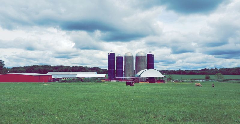 16 Kentucky Grocery Stores Locals Trust For Quality Meat And True Bluegrass Tradition - Decor Hint J.D. Country Milk