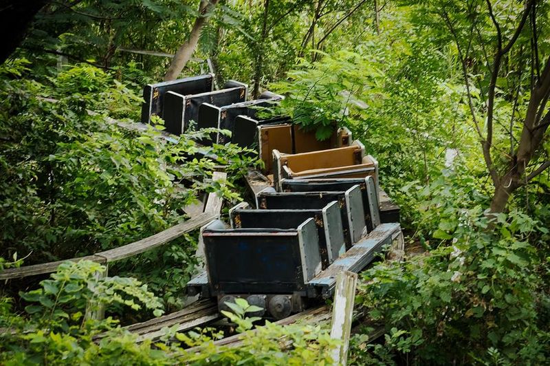 Nature Reclaimed the Grounds