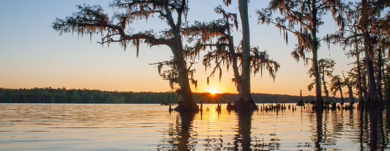 Bayou Teche Scenic Byway