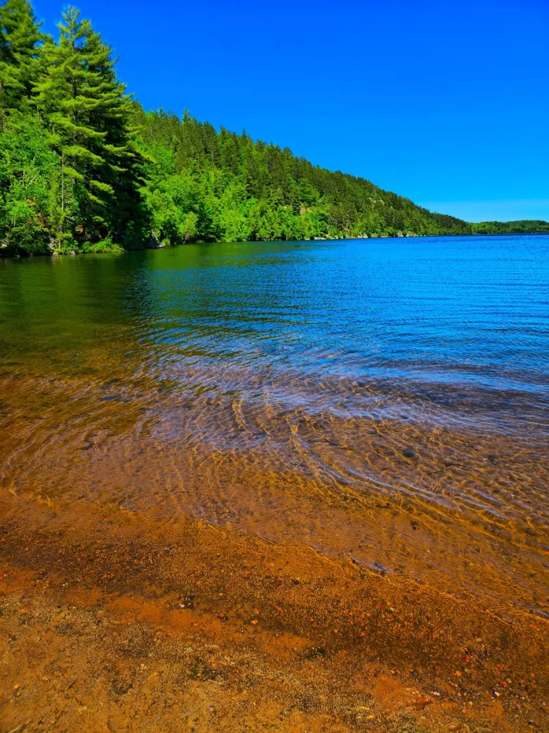 Michigan's Overlooked Upper Peninsula City With Lake Views And A Quirky Charm - Decor Hint Teal Lake's Peaceful Beauty