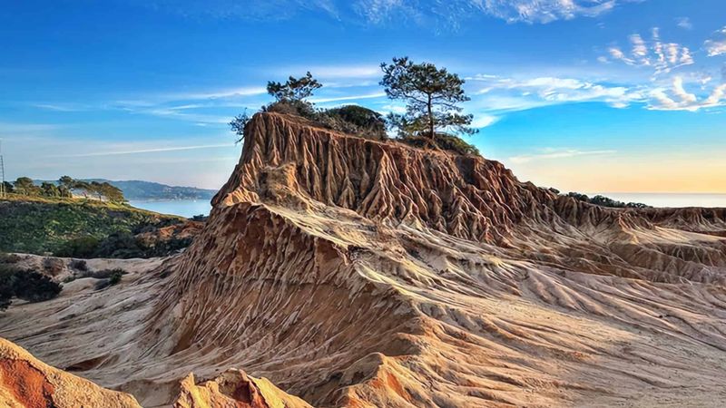 Top Things To Do In Southern California - Decor Hint Torrey Pines State Reserve