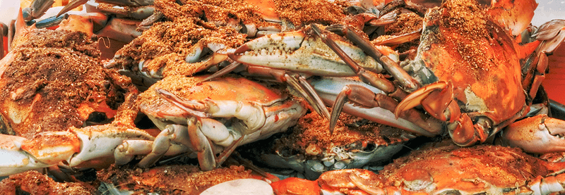 8 Classic Italian Restaurants Pennsylvanians Adore - Decor Hint DiNardo's Famous Seafood