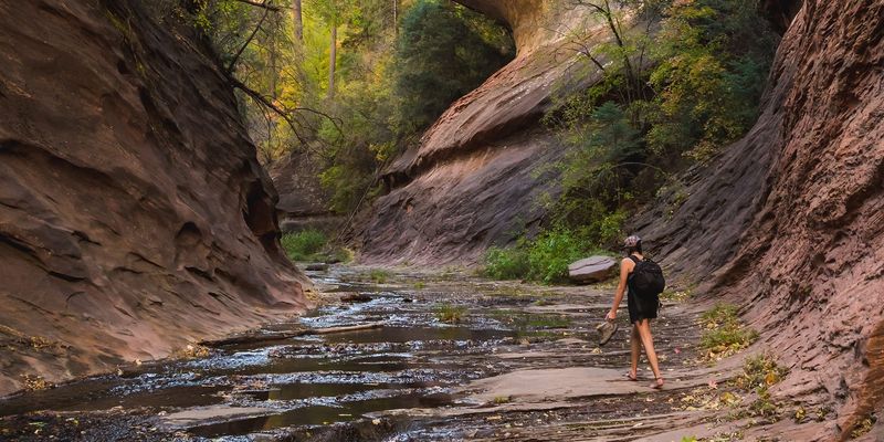 Must-See Arizona Drives To Make Your Thanksgiving Weekend Unforgettable - Decor Hint Oak Creek Canyon Scenic Drive (U.S. Route 89A)