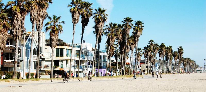 Top Things To Do In Southern California - Decor Hint Venice Beach Boardwalk