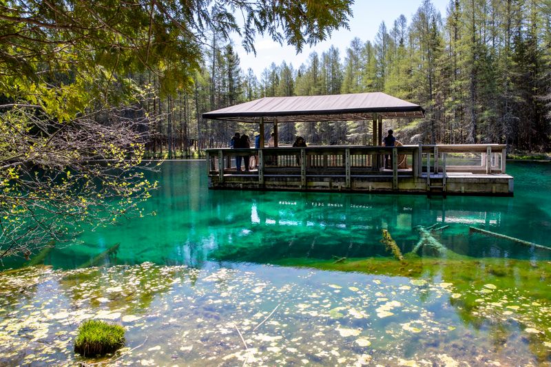 Palms Book State Park (Kitch-iti-kipi)