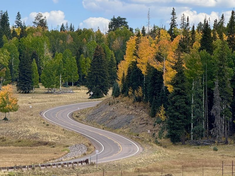 Must-See Arizona Drives To Make Your Thanksgiving Weekend Unforgettable - Decor Hint White Mountains Scenic Byway (Highway 260)