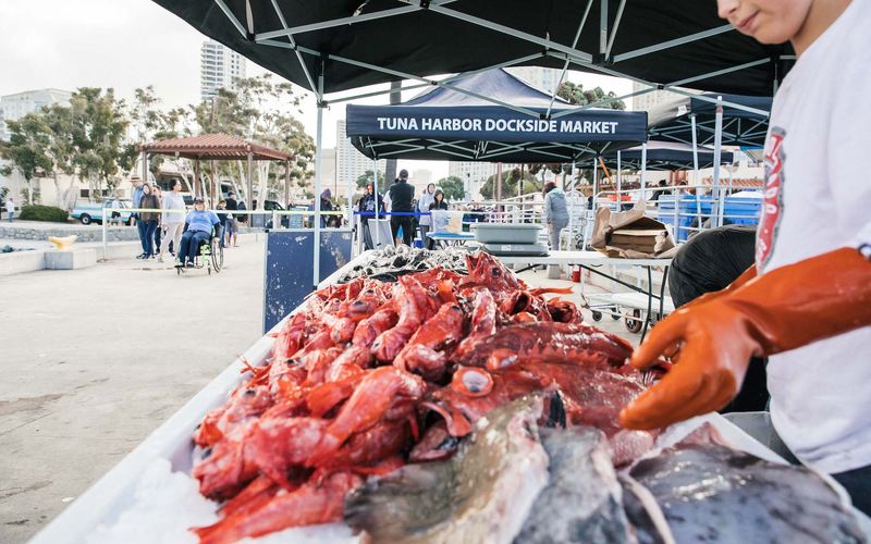 These San Diego Seafood Restaurants Are Creating A Stir Among Foodies - Decor Hint Tuna Harbor Dockside Market