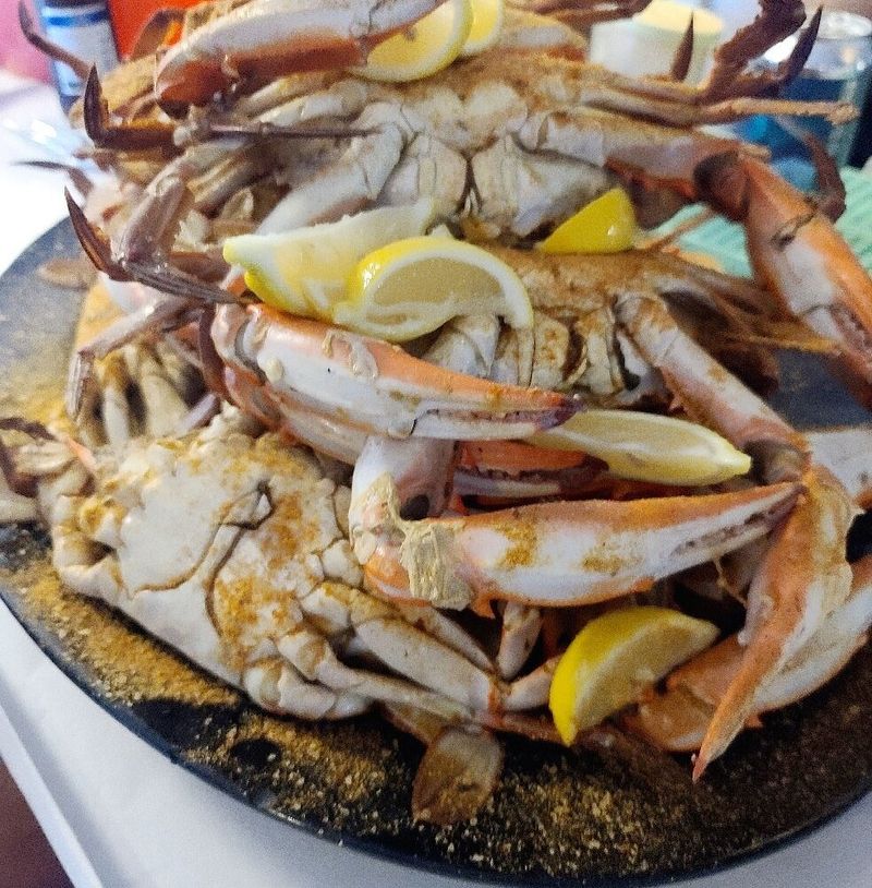 Fresh Catch Straight From The Water