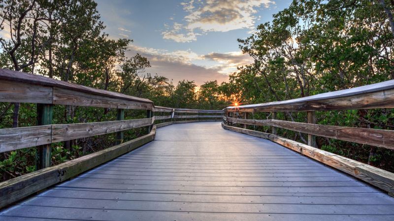 Naples Experiences That Prove It's One Of Florida's Finest Cities - Decor Hint Relax at Clam Pass Park