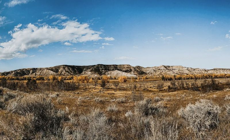 13 Reasons North Dakota Was Named One Of America's Least Fun States - Decor Hint Extremely Flat and Monotonous Landscape