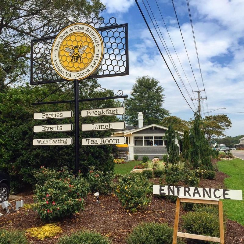 The Bee and The Biscuit