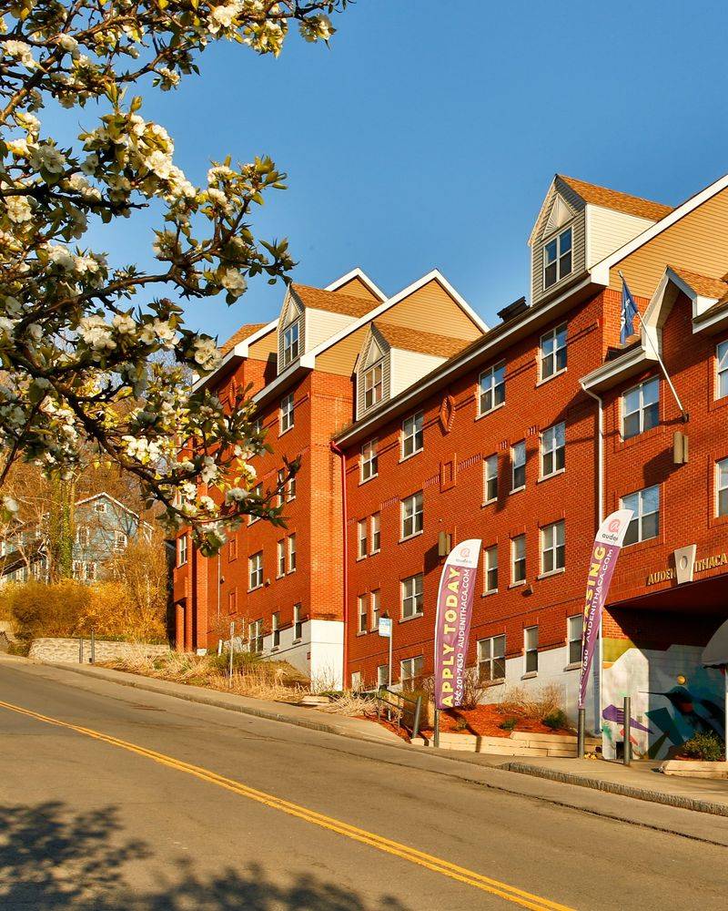Student Housing Investments in Albany and Ithaca