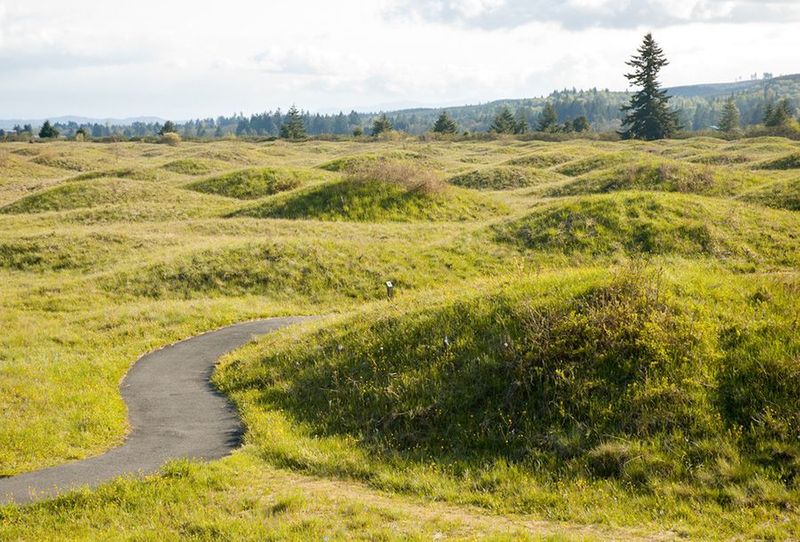 Olympia Experiences That Impress: Nature, Culture, And Hidden Gems To Explore - Decor Hint Mima Mounds Natural Area Preserve