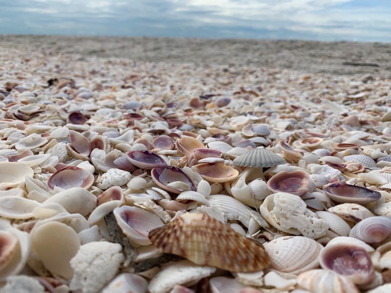Florida Cities That Made The List Of Top Winter Holiday Getaways - Decor Hint Sanibel Island